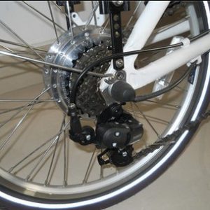 BINGS vélo électrique pliant 25km/h