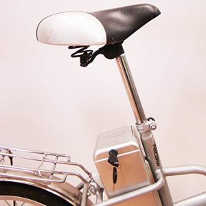 Vélo électrique Miranda argent
