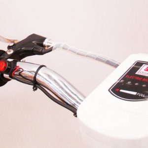 Vélo électrique Miranda argent