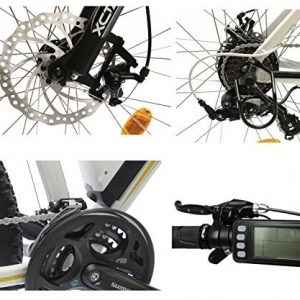 Vélo électrique VTT Easy Bike